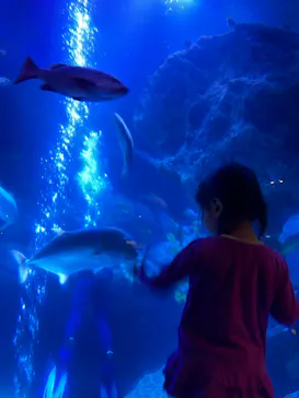 すみだ水族館に投稿された画像（2021/10/17）