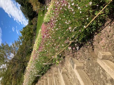 神戸布引ハーブ園／ロープウェイに投稿された画像（2021/10/17）