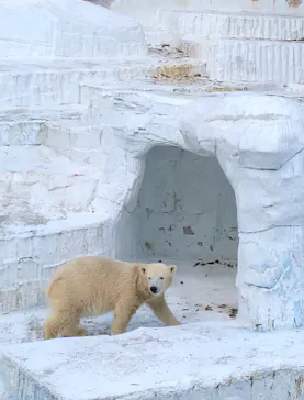 天王寺動物園に投稿された画像（2021/10/17）