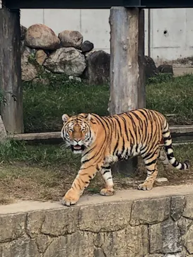 天王寺動物園に投稿された画像（2021/10/17）