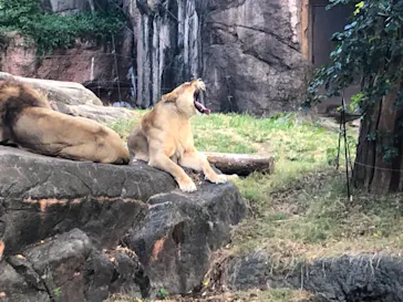 天王寺動物園に投稿された画像（2021/10/17）