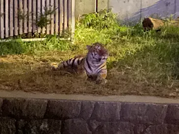 天王寺動物園に投稿された画像（2021/10/17）