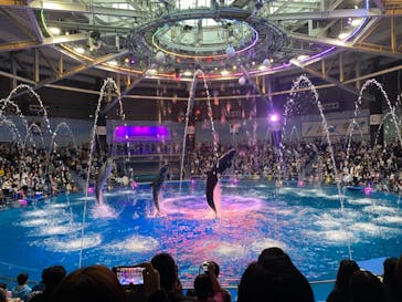 マクセル アクアパーク品川に投稿された画像（2021/10/17）