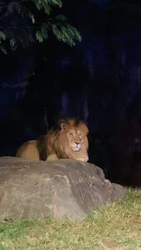 天王寺動物園に投稿された画像（2021/10/17）