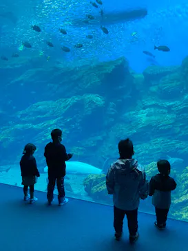 仙台うみの杜水族館に投稿された画像（2021/10/17）