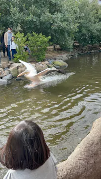 神戸どうぶつ王国に投稿された画像（2021/10/17）