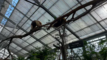 神戸どうぶつ王国に投稿された画像（2021/10/17）