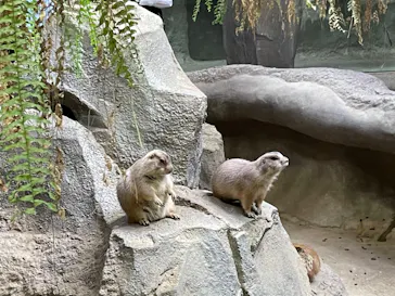 神戸どうぶつ王国に投稿された画像（2021/10/17）