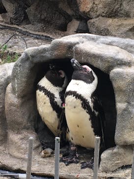 サンシャイン水族館に投稿された画像（2021/10/17）