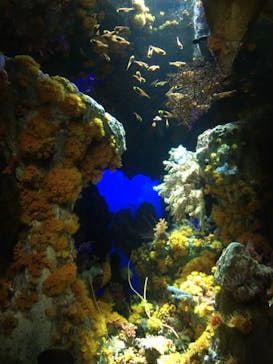 サンシャイン水族館に投稿された画像（2021/10/17）