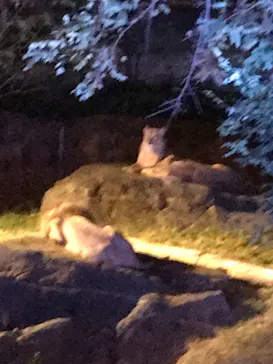 天王寺動物園に投稿された画像（2021/10/17）