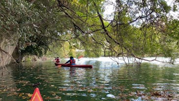 カヌーリゾートたまよどに投稿された画像（2021/10/17）