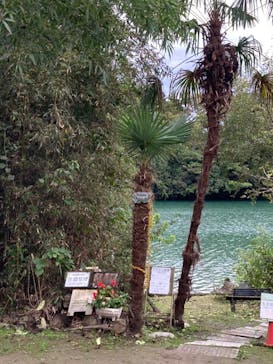 カヌーリゾートたまよどに投稿された画像（2021/10/17）