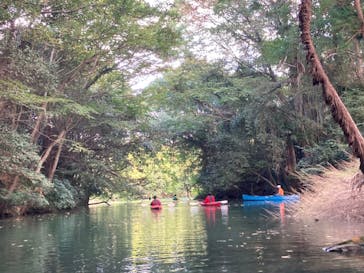 カヌーリゾートたまよどに投稿された画像（2021/10/17）
