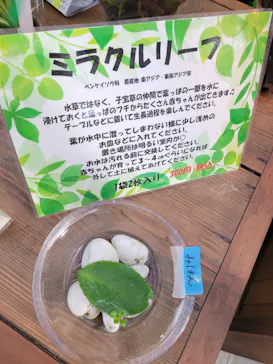 神戸どうぶつ王国に投稿された画像（2021/10/17）