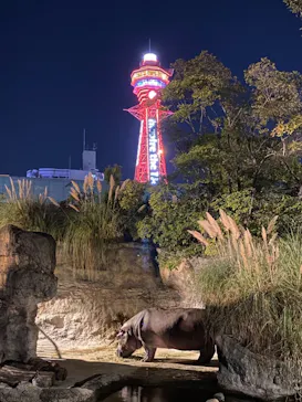 天王寺動物園に投稿された画像（2021/10/17）