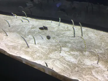 すみだ水族館に投稿された画像（2021/10/17）