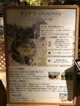 Moff animal world MARK IS みなとみらい店に投稿された画像（2021/10/17）
