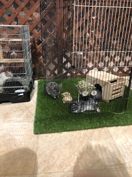 Moff animal world MARK IS みなとみらい店に投稿された画像（2021/10/17）