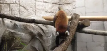 天王寺動物園に投稿された画像（2021/10/17）