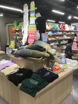 カワスイ 川崎⽔族館に投稿された画像（2021/10/17）