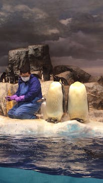 名古屋港水族館に投稿された画像（2021/10/17）