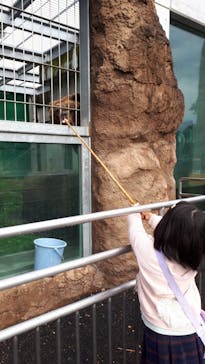 東武動物公園に投稿された画像（2021/10/17）