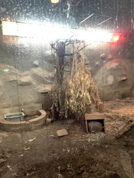 天王寺動物園に投稿された画像（2021/10/17）