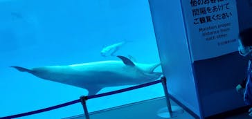 名古屋港水族館に投稿された画像（2021/10/17）