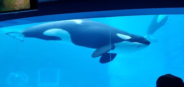 名古屋港水族館に投稿された画像（2021/10/17）