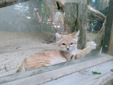 神戸どうぶつ王国に投稿された画像（2021/10/17）