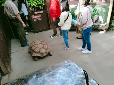 神戸どうぶつ王国に投稿された画像（2021/10/17）