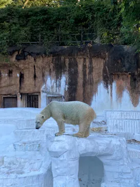 天王寺動物園に投稿された画像（2021/10/17）