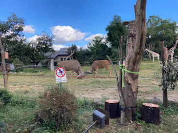 天王寺動物園に投稿された画像（2021/10/17）