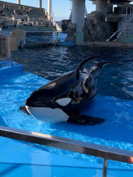 名古屋港水族館に投稿された画像（2021/10/17）