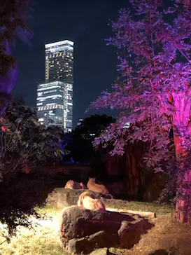 天王寺動物園に投稿された画像（2021/10/17）