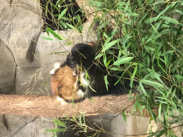 天王寺動物園に投稿された画像（2021/10/17）