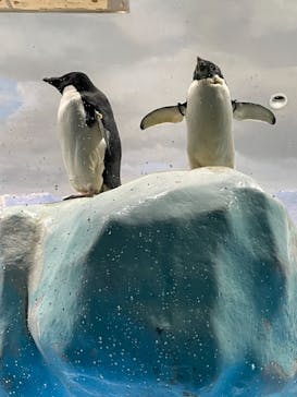 名古屋港水族館に投稿された画像（2021/10/17）