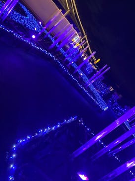 東京メガイルミに投稿された画像（2021/10/17）