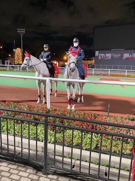 東京メガイルミに投稿された画像（2021/10/17）