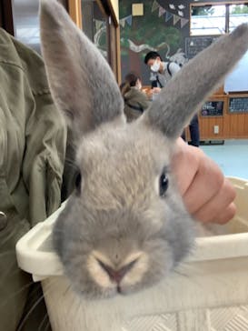 東武動物公園に投稿された画像（2021/10/17）