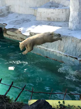 天王寺動物園に投稿された画像（2021/10/17）