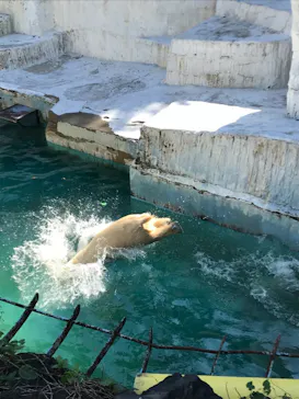 天王寺動物園に投稿された画像（2021/10/17）