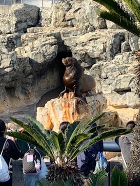 大分マリーンパレス水族館 「うみたまご」に投稿された画像（2021/10/17）