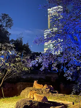 天王寺動物園に投稿された画像（2021/10/17）