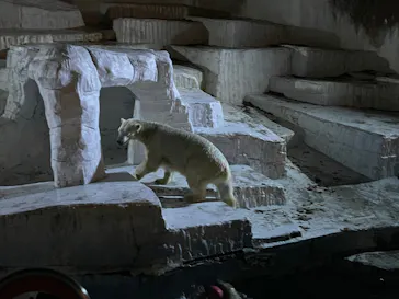 天王寺動物園に投稿された画像（2021/10/17）