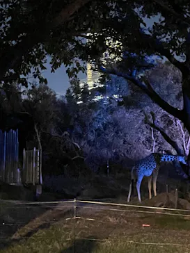 天王寺動物園に投稿された画像（2021/10/17）