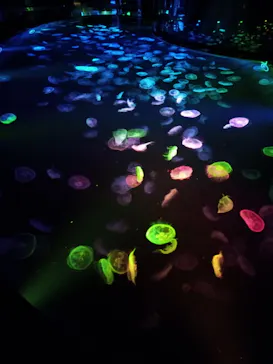 すみだ水族館に投稿された画像（2021/10/17）