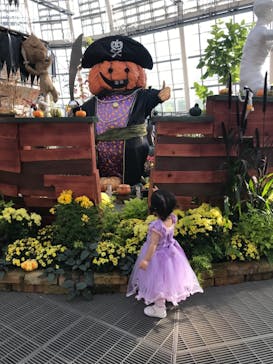 安城産業文化公園デンパークに投稿された画像（2021/10/17）