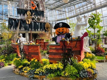 安城産業文化公園デンパークに投稿された画像（2021/10/17）